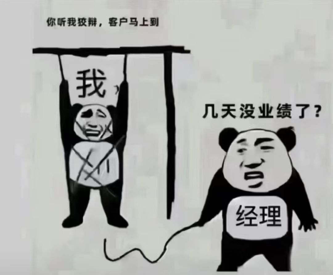 东南亚狗推日常：主打一个穷得真实，吹得专业